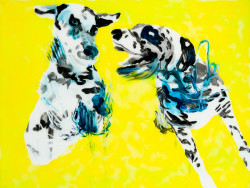 Maalaus, jossa kirkkaan keltaisella pohjalla kaksi dalmatialaista koiraa. Image Elina Ruohonen